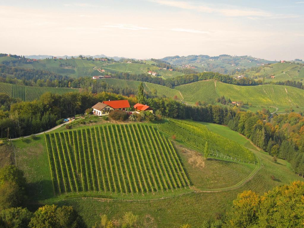 Weingut- Gaestezimmer Marko Apartment Leutschach Exterior photo