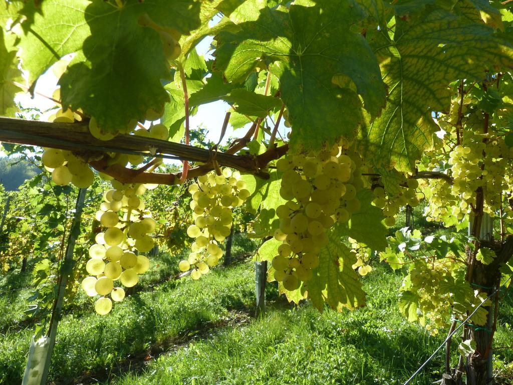Weingut- Gaestezimmer Marko Leutschach Exterior photo