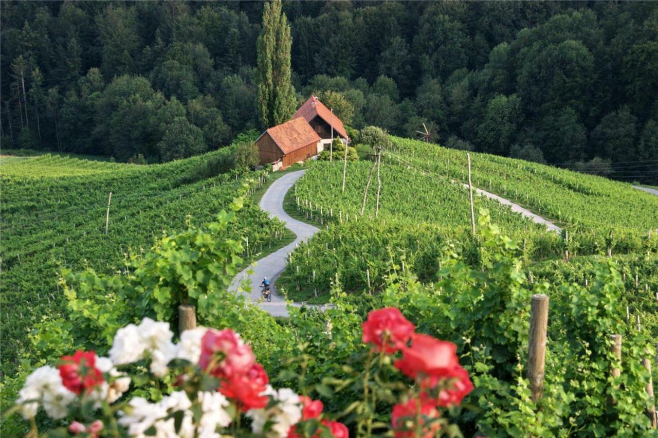 Weingut- Gaestezimmer Marko Leutschach Exterior photo